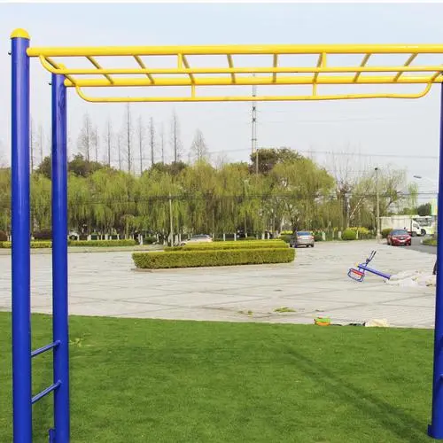PP电子芯片集团，物联网pin是什么